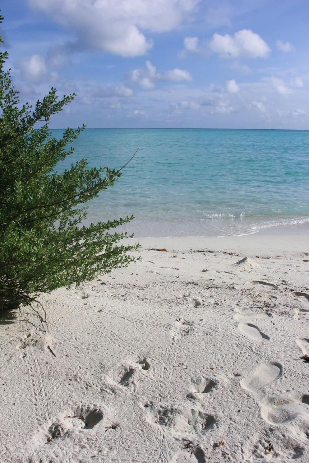 فندق Isla Retreat Fehendhoo المظهر الخارجي الصورة